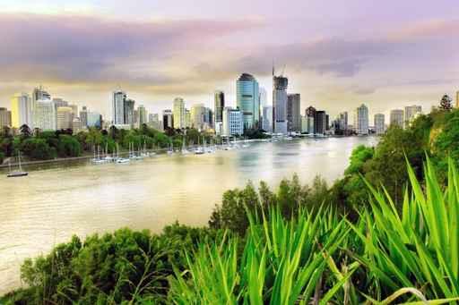 Brisbane Evening Wall Decal