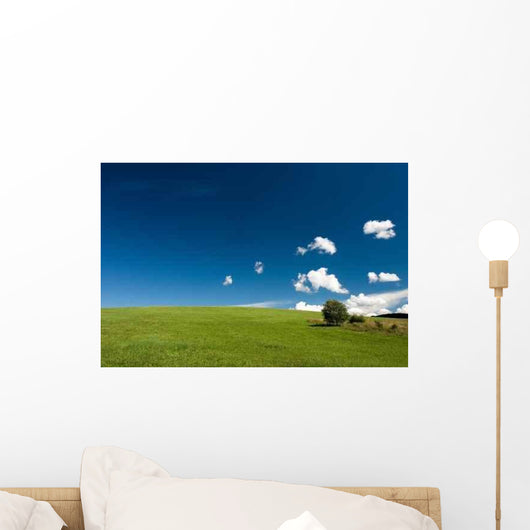 Summer Abstract Landscape Wall Decal