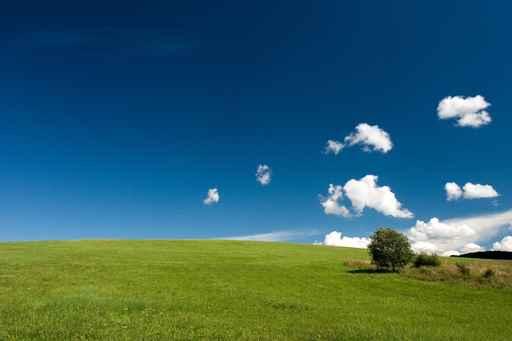 Summer Abstract Landscape Wall Decal
