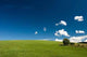 Summer Abstract Landscape Wall Decal