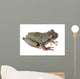 Eastern Gray Tree Frog Wall Decal