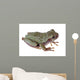 Eastern Gray Tree Frog Wall Decal