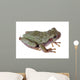 Eastern Gray Tree Frog Wall Decal