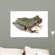 Eastern Gray Tree Frog Wall Decal