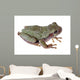 Eastern Gray Tree Frog Wall Decal