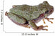 Eastern Gray Tree Frog Wall Decal