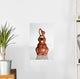 Easter Bunny Chocolate Wall Decal