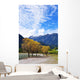 3 Wall Decal