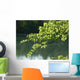 Eschenast Wall Decal