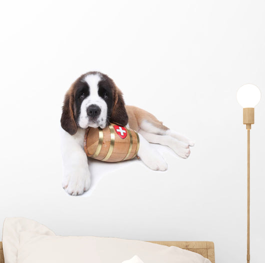 A Saint Bernard puppy with rescue barrel around the neck Wall Decal