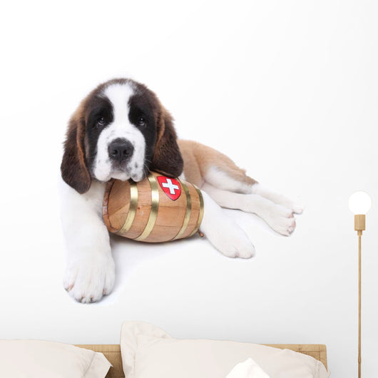 A Saint Bernard puppy with rescue barrel around the neck Wall Decal
