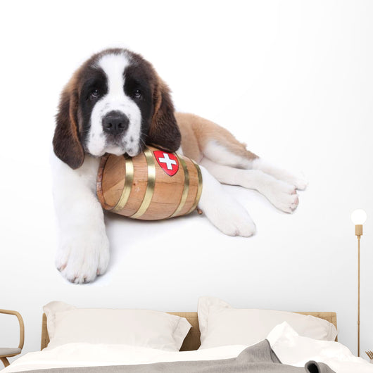 A Saint Bernard puppy with rescue barrel around the neck Wall Decal