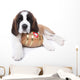 A Saint Bernard puppy with rescue barrel around the neck Wall Decal