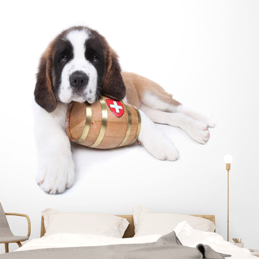 A Saint Bernard puppy with rescue barrel around the neck Wall Decal