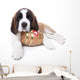 A Saint Bernard puppy with rescue barrel around the neck Wall Decal