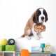 A Saint Bernard puppy with rescue barrel around the neck Wall Decal