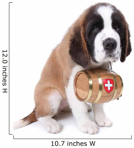 A Saint Bernard puppy with rescue barrel around the neck Wall Decal