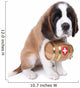 A Saint Bernard puppy with rescue barrel around the neck Wall Decal