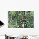 Howler Monkey Wall Mural