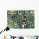 Howler Monkey Wall Mural