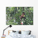 Howler Monkey Wall Mural