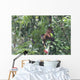 Howler Monkey Wall Mural