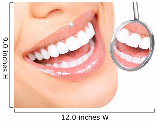 Healthy Teeth Wall Decal