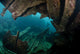 Shipwreck Shallow Water