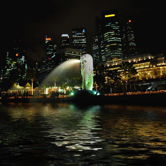 Merlion Singapore by Night Wall Mural