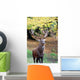 Strong Stag Wall Mural