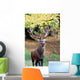 Strong Stag Wall Mural