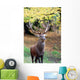 Strong Stag Wall Mural