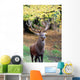 Strong Stag Wall Mural