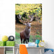 Strong Stag Wall Mural