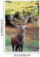 Strong Stag Wall Mural