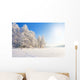 Winter Park Snow Wall Decal Design 1