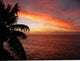 Tahiti Sunset Wall Decal