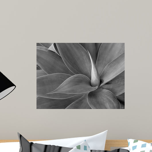 agave in black and white Wall Mural