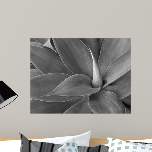 agave in black and white Wall Mural