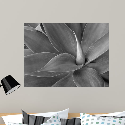 agave in black and white Wall Mural