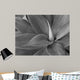 agave in black and white Wall Mural