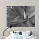 agave in black and white Wall Mural