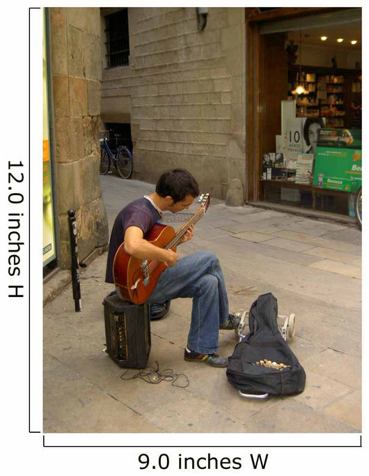 Guitar Player Wall Mural