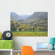 Wall Mural