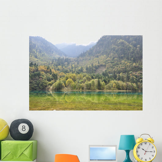 Wall Mural