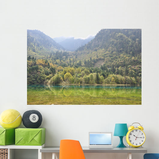 Wall Mural