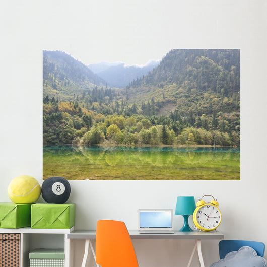 Wall Mural