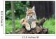 European Lynx