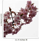 Cherry Blossoms Wall Decal