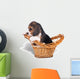 Sad beagle puppy in the basket Wall Mural
